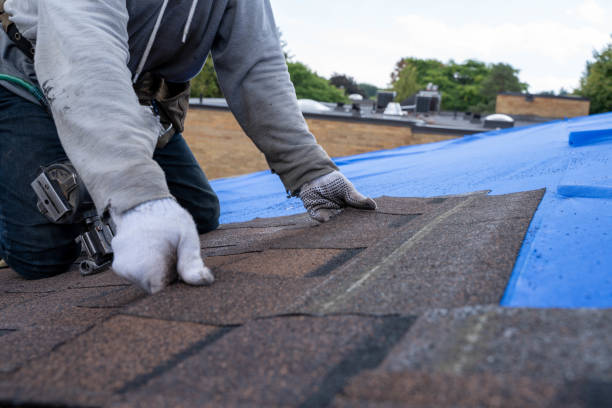 Best Local Roofing Companies  in Ten Mile Run, NJ