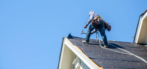 Best Roof Maintenance Services  in Ten Mile Run, NJ
